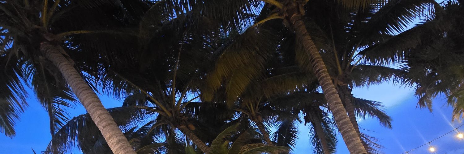 lovesjoker's profile banner image