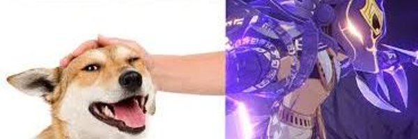 AlpeKun Profile Banner