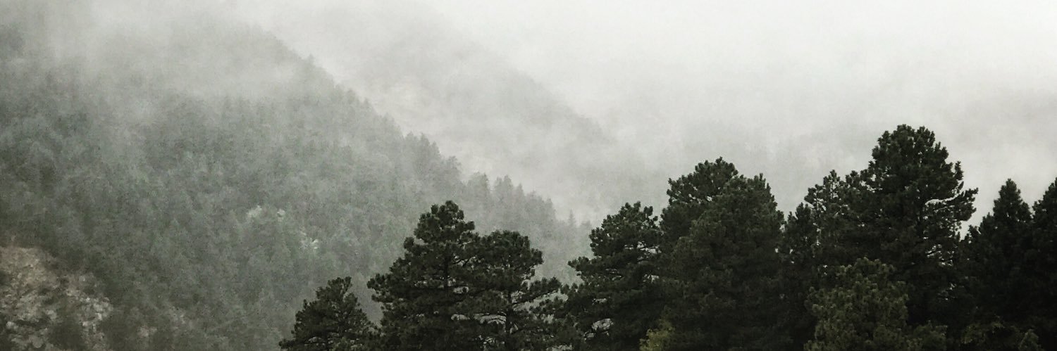 ivyD76's profile banner image
