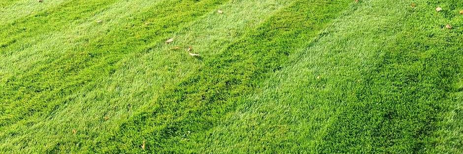 Get Off My Lawn banner