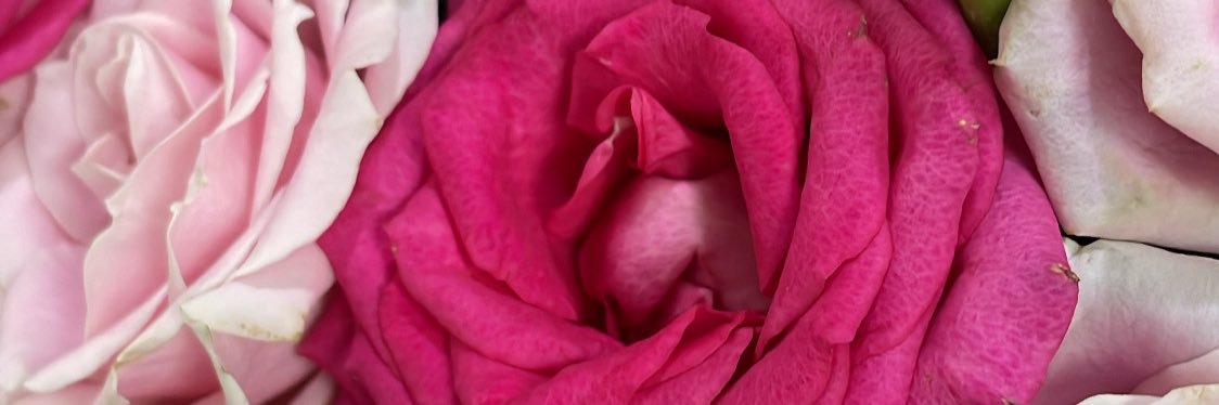 dellaputriA's profile banner image