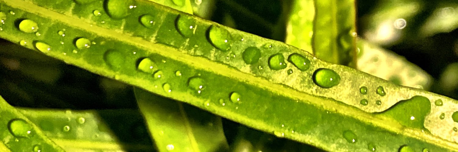 iniyavanj's profile banner image