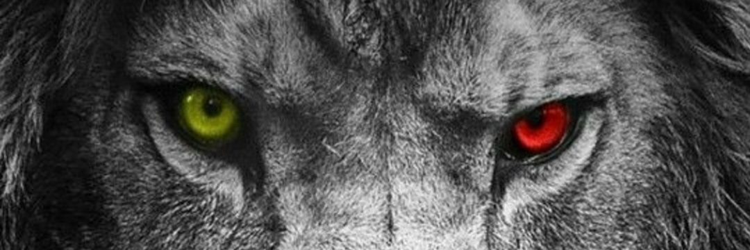 asyeko's profile banner image