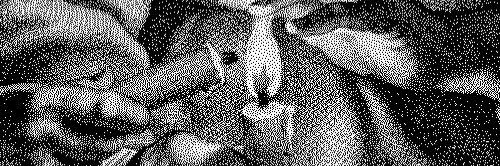 JM_KIARA_7's profile banner image
