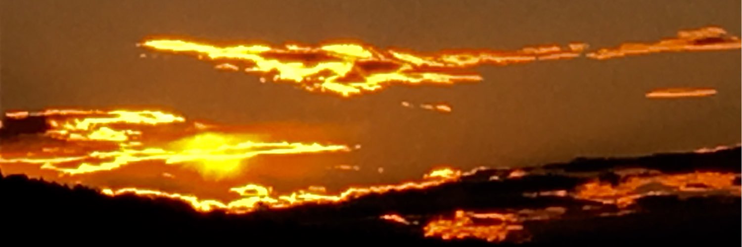 NLaffra's profile banner image