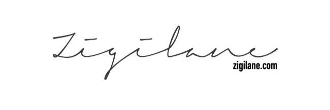 zigilane's profile banner image