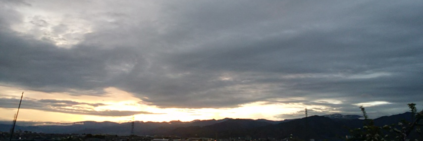 rapasitree's profile banner image