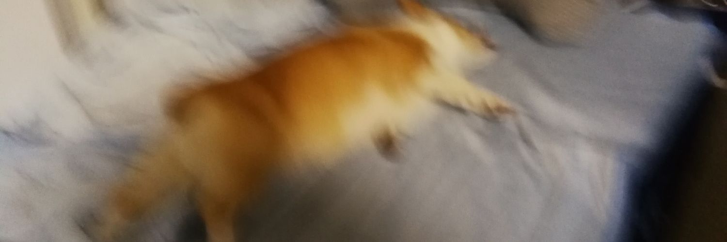 もふっとにゃ banner