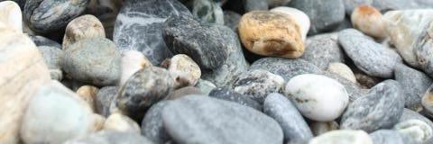 Vinegar Tiger banner