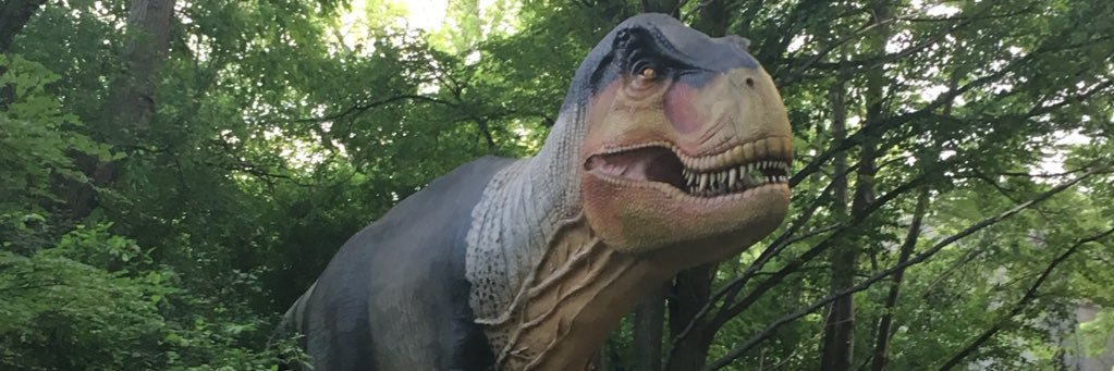 kdreeze's profile banner image