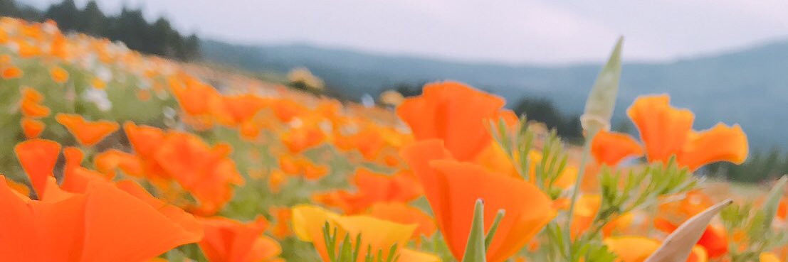 KkymLav's profile banner image