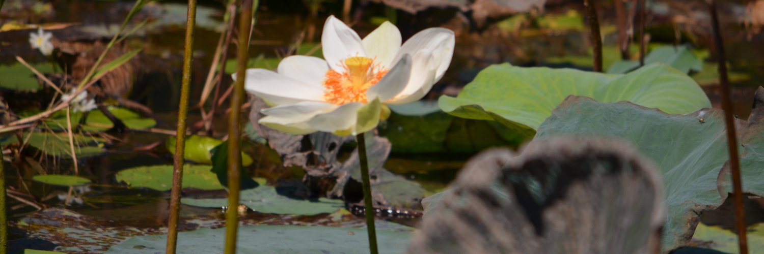 abiral_amrit's profile banner image