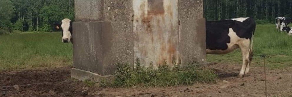 Chris Parker @ Network Fun-Times banner