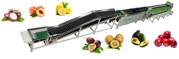 Fruitprocess Profile Banner