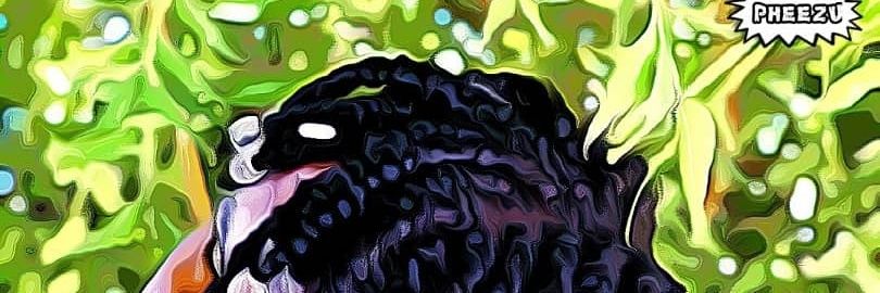 _Pheezuu_'s profile banner image