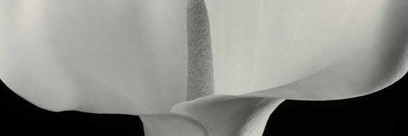 MarGoryacheva's profile banner image