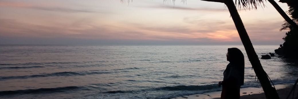 anieafrilla's profile banner image