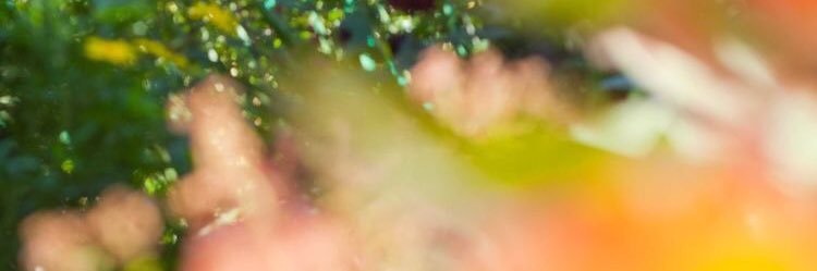 khaoxkhoz's profile banner image