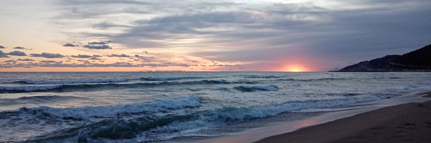 Bea Martínez-Rius banner