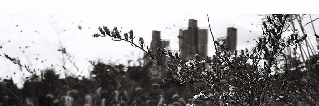 KYNE2494's profile banner image