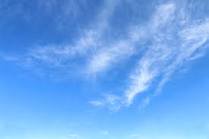 イビスの丘 banner