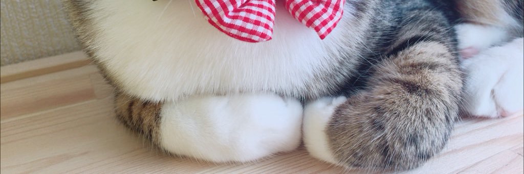 0501Okayu's profile banner image