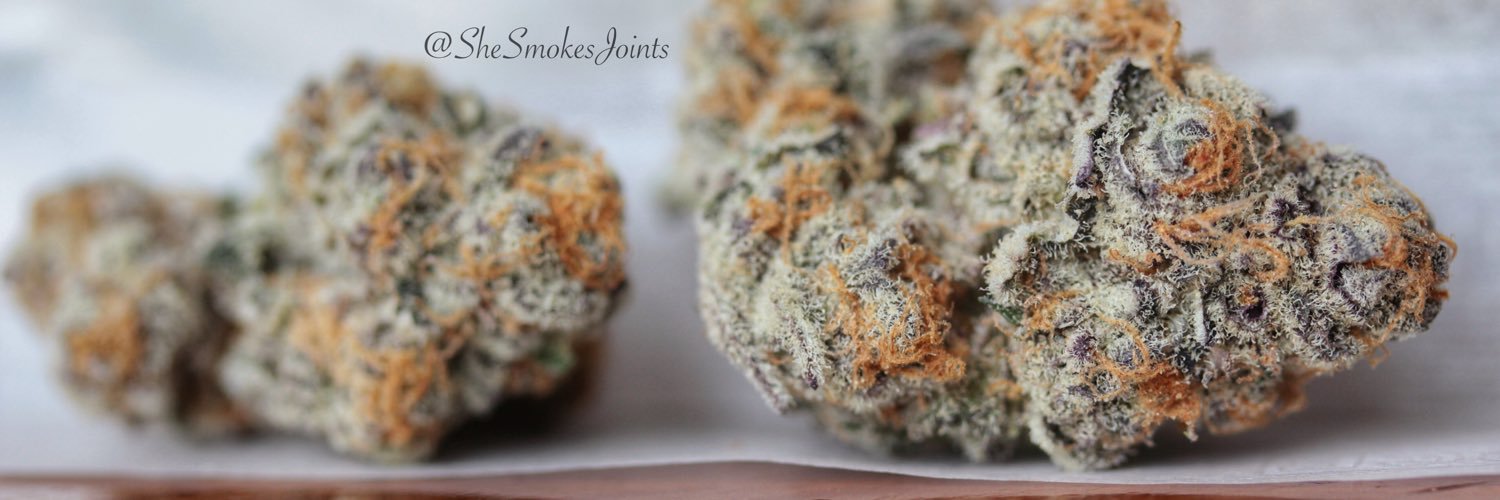 Courtney 😙💨 banner