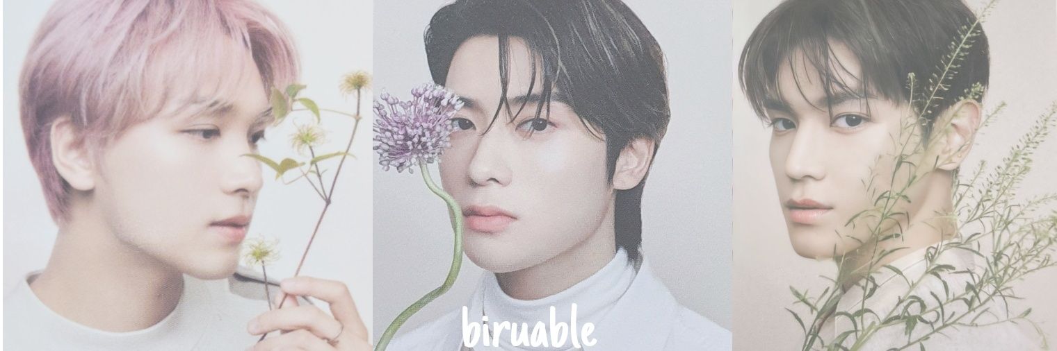 biruable's profile banner image