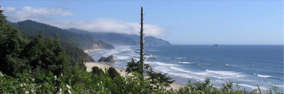 Eden_Beach's profile banner image