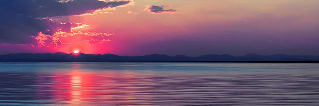 ArySaparker's profile banner image