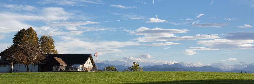 ufemWildberg's profile banner image
