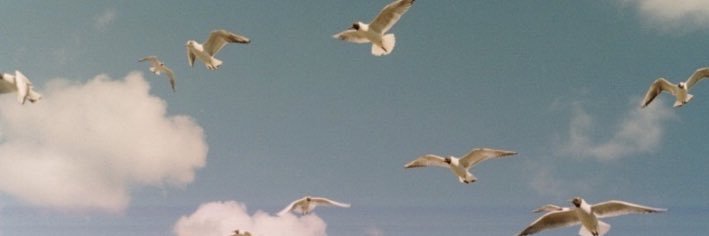 maroo__you's profile banner image