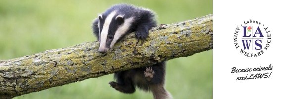 LabourAnimals Profile Banner