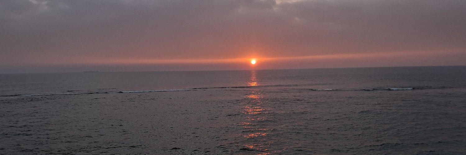 svtkgl's profile banner image