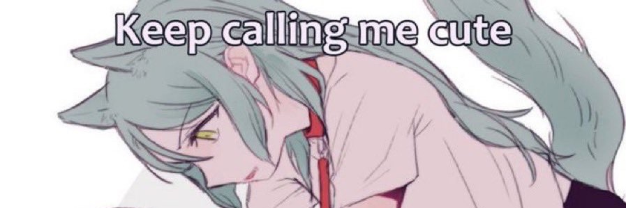 Minty Evergreen banner