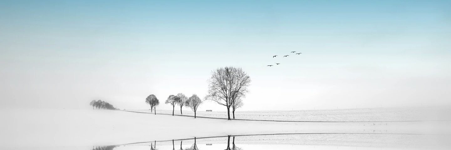 sviahdryh's profile banner image