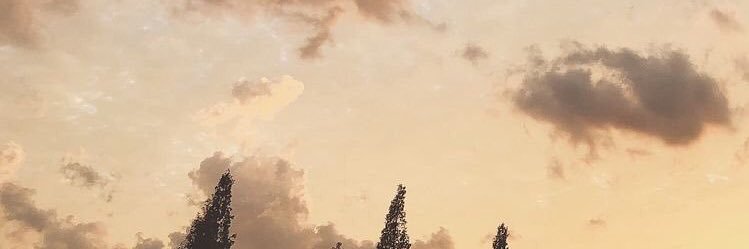 ลาบอท banner