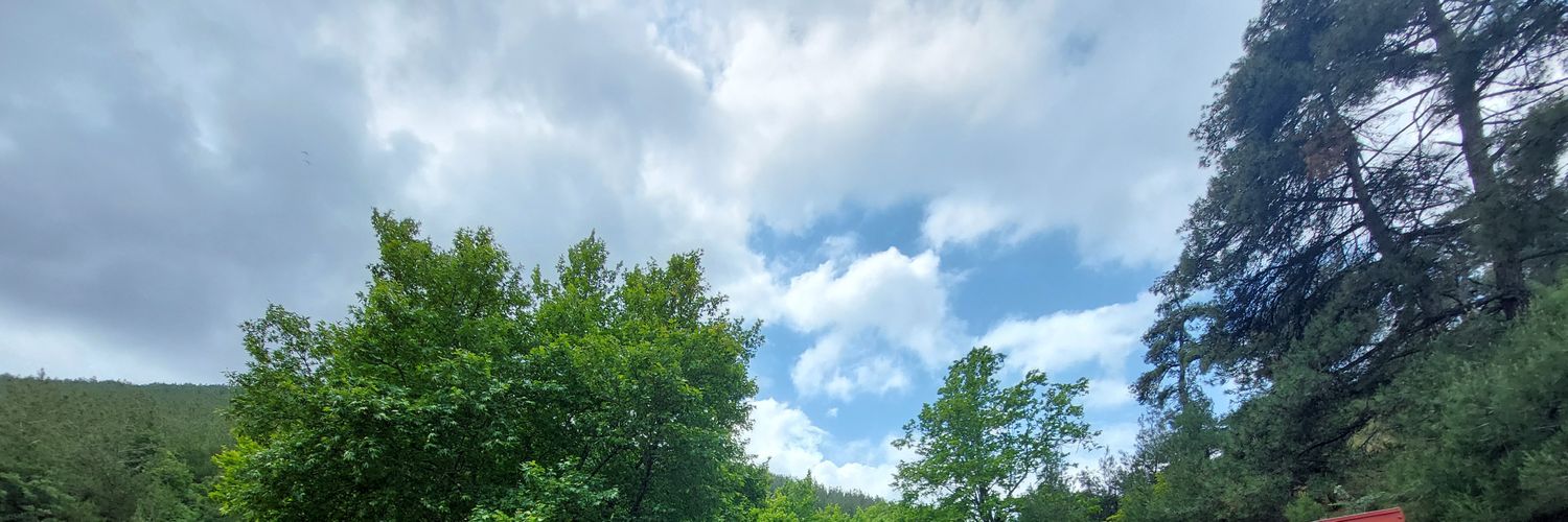 oguzbyram's profile banner image