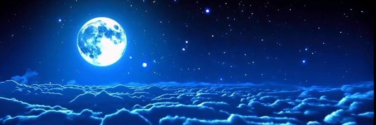 Blue_dolphin29's profile banner image