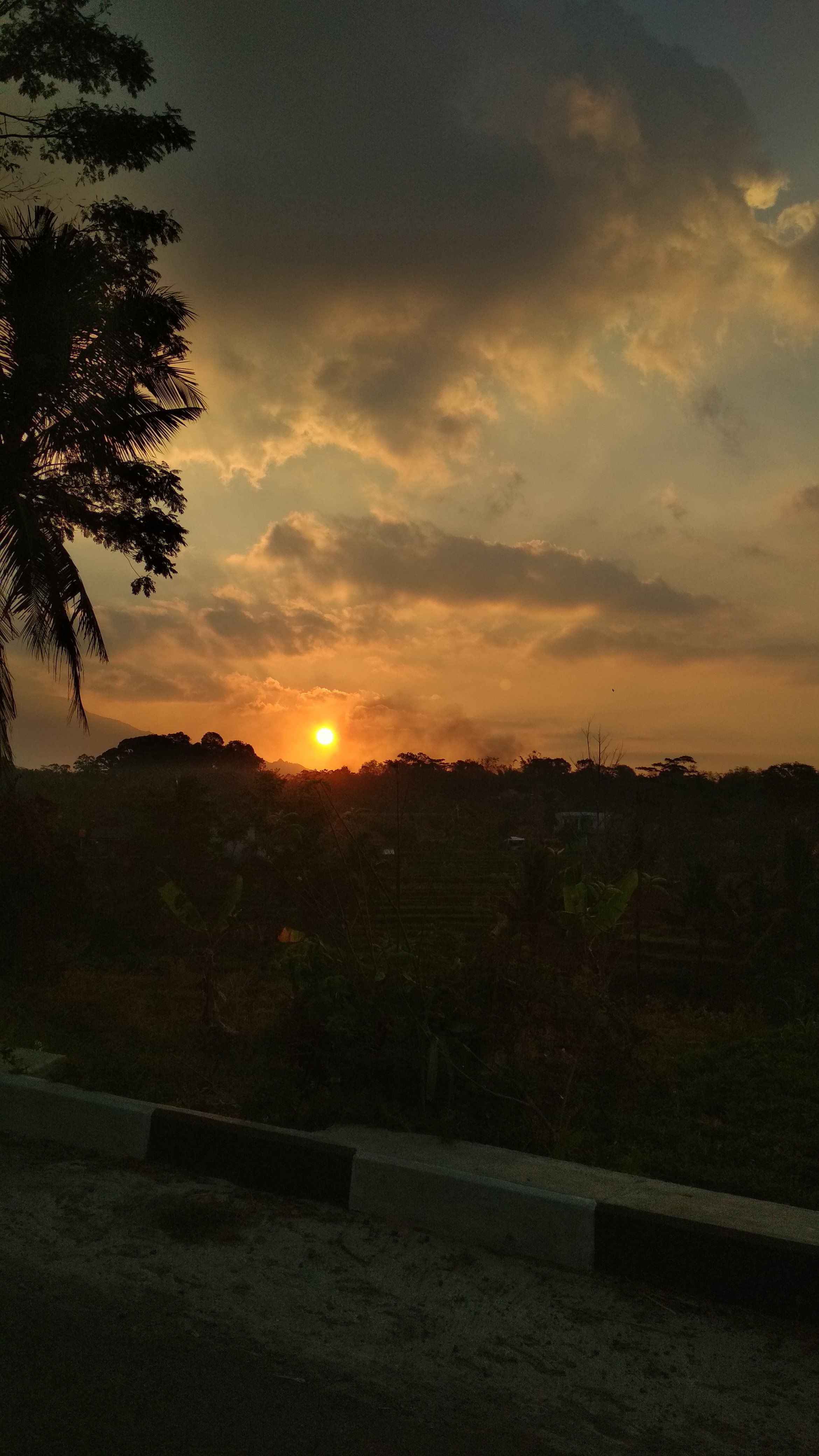 indrhdwt's profile banner image
