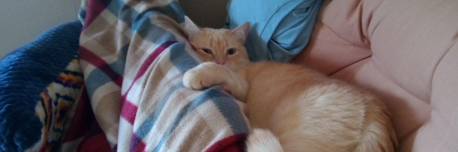 WatsonGoodKitty's profile banner image