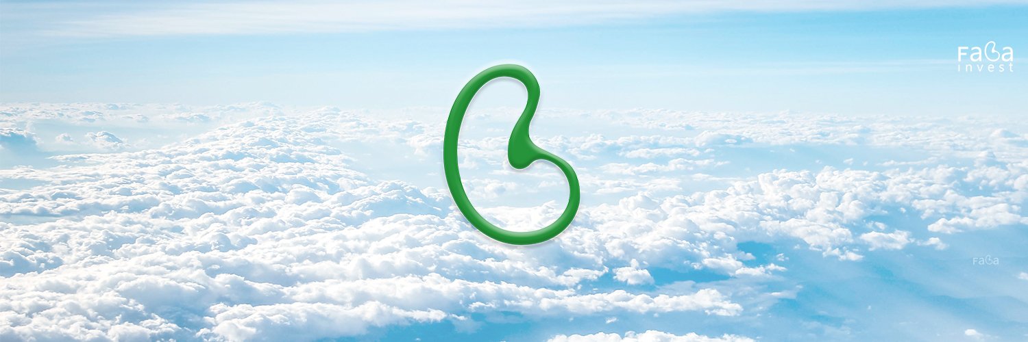 FabaInvest's profile banner image