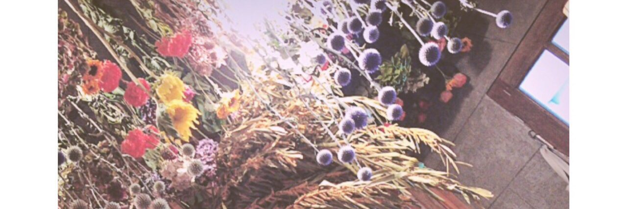 _aou_'s profile banner image