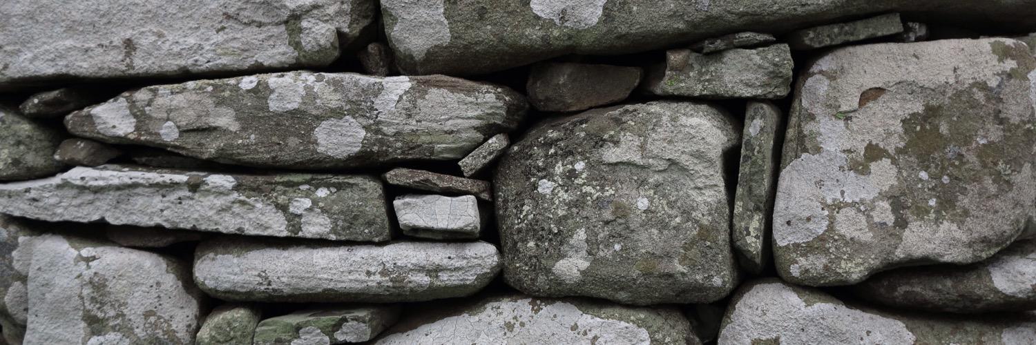 pconstants's profile banner image