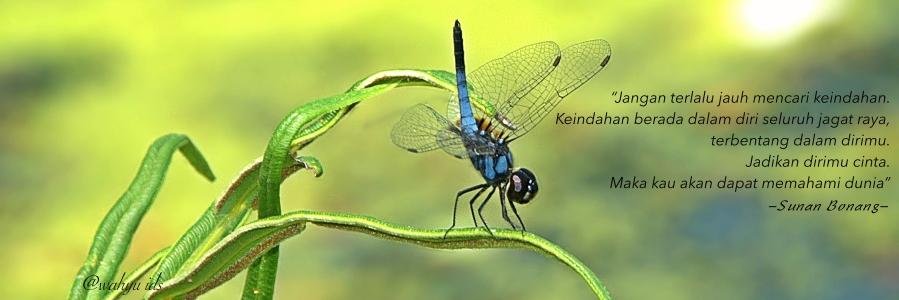 adekwidiya's profile banner image