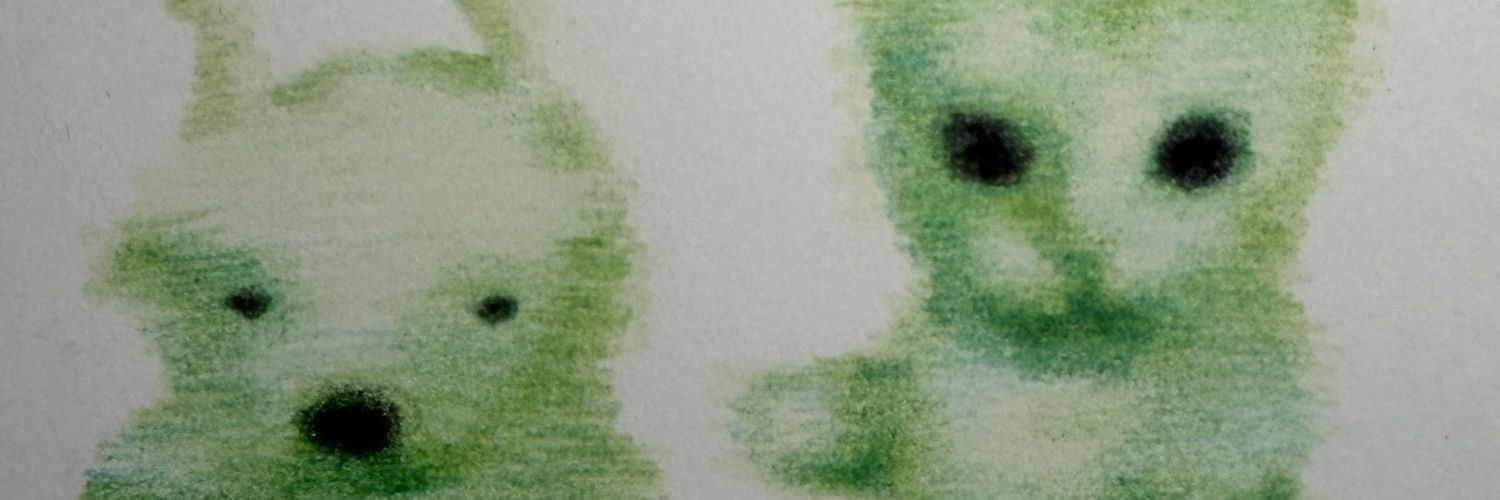 ️️ ️️️ ️️️ ️️️ banner