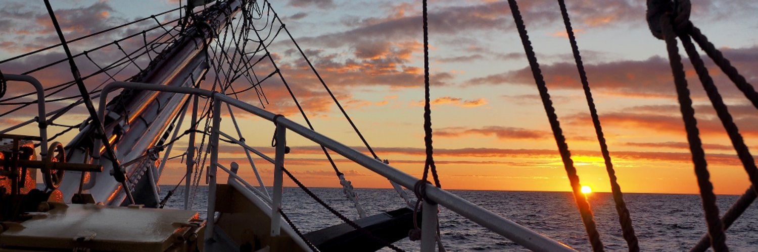 Dr. Ananas™ ✊😷🚩 banner