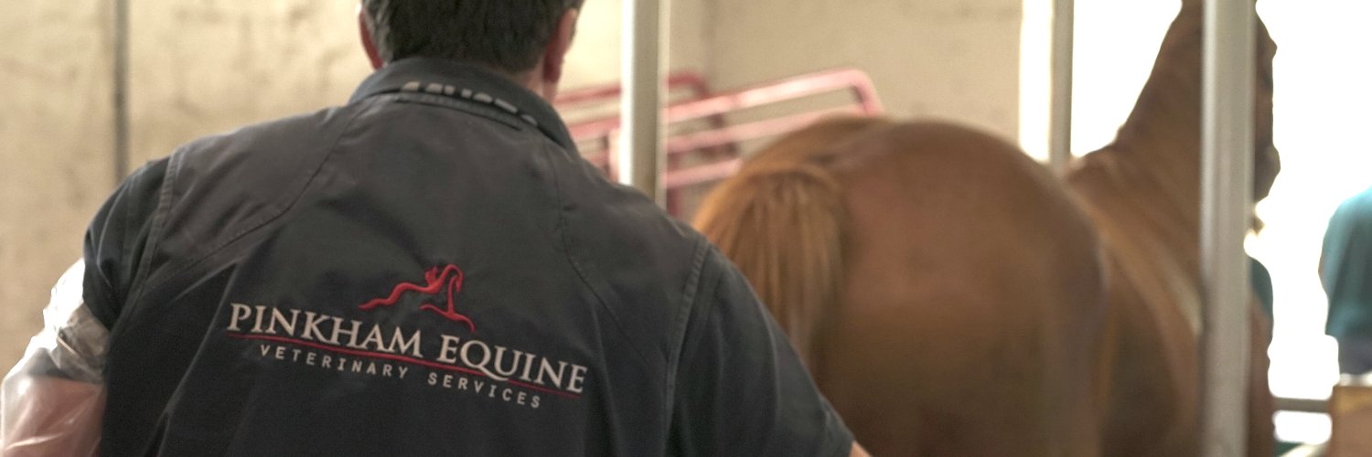 Pinkham Equine banner