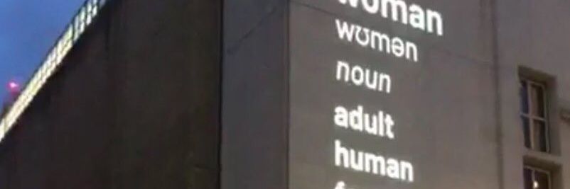 sadiebeanbuster's profile banner image