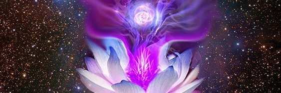 oscar_saav's profile banner image